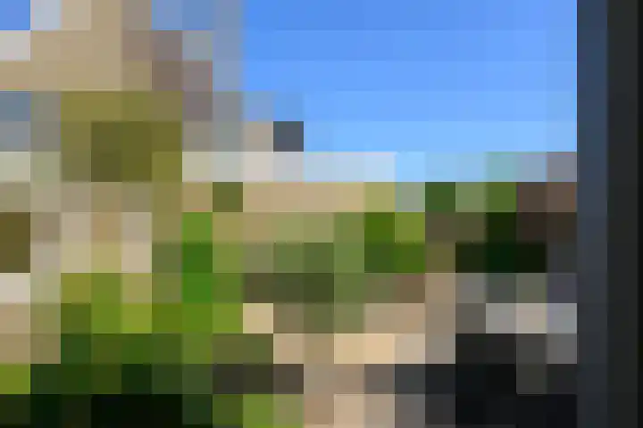 Dreeslaan 26 Naaldwijk thumbnail 10