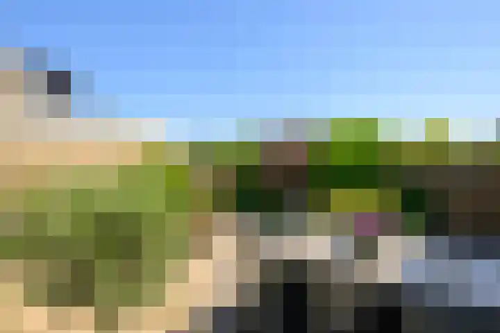 Dreeslaan 26 Naaldwijk thumbnail 11