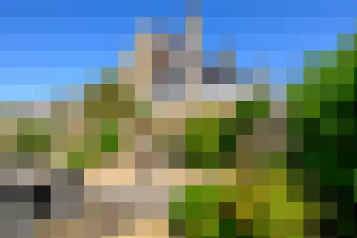 Dreeslaan 26 Naaldwijk thumbnail 12