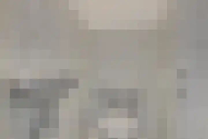 Dreeslaan 26 Naaldwijk thumbnail 22