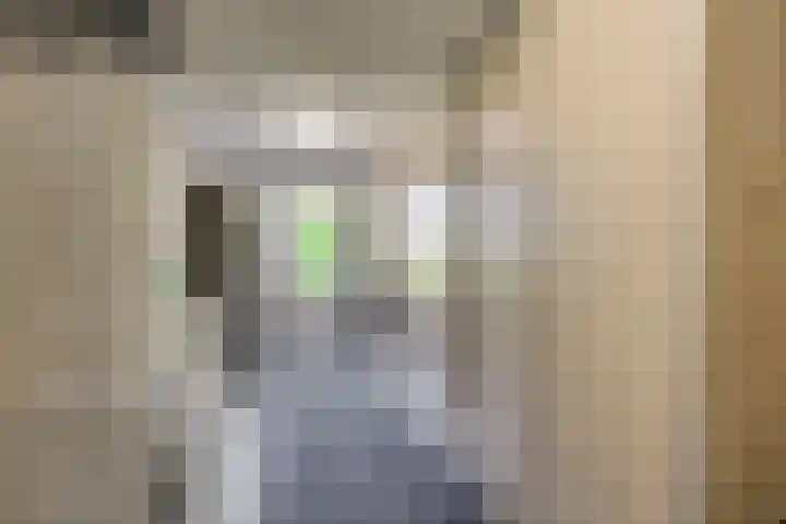 Dreeslaan 26 Naaldwijk thumbnail 32
