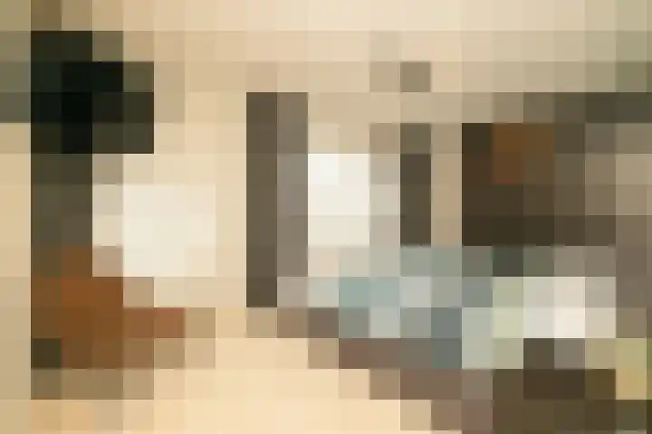 Dreeslaan 264 Naaldwijk thumbnail 18