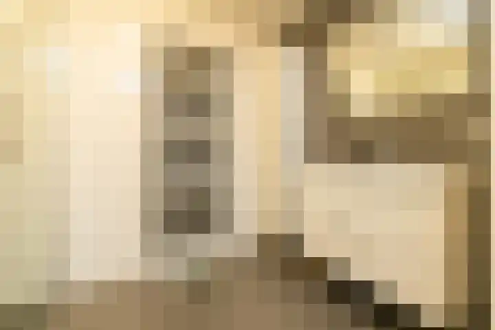 Dreeslaan 264 Naaldwijk thumbnail 20