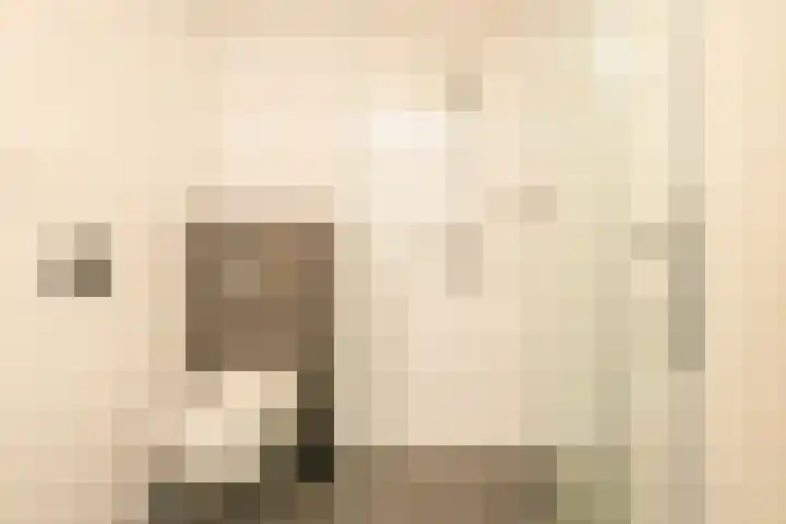Dreeslaan 264 Naaldwijk thumbnail 22