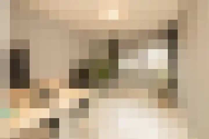 Dreeslaan 264 Naaldwijk thumbnail 23