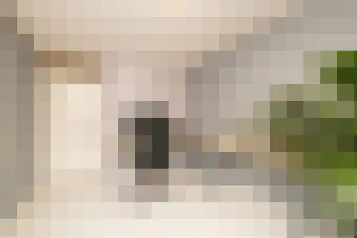 Dreeslaan 264 Naaldwijk thumbnail 24