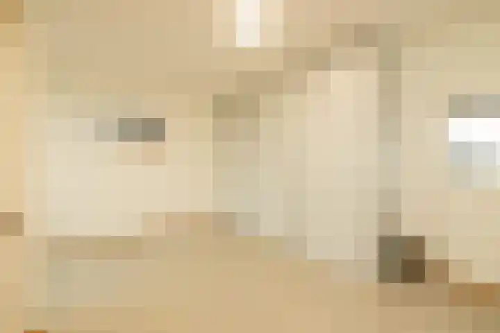 Dreeslaan 264 Naaldwijk thumbnail 28