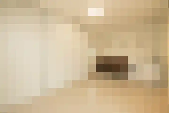 Dreeslaan 264 Naaldwijk thumbnail 29