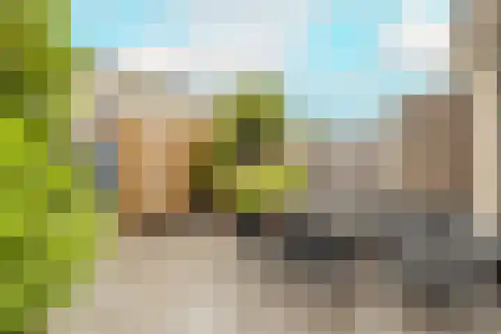 Dreeslaan 264 Naaldwijk thumbnail 32