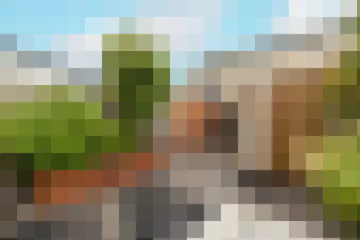 Dreeslaan 264 Naaldwijk thumbnail 33