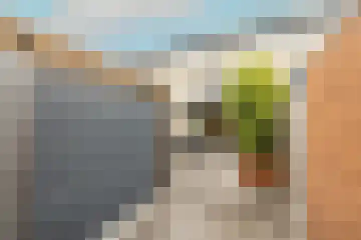 Dreeslaan 264 Naaldwijk thumbnail 34