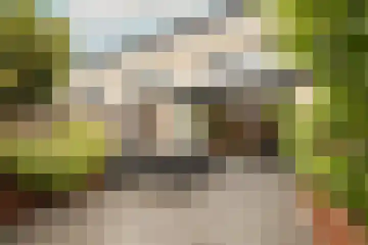 Dreeslaan 264 Naaldwijk thumbnail 35