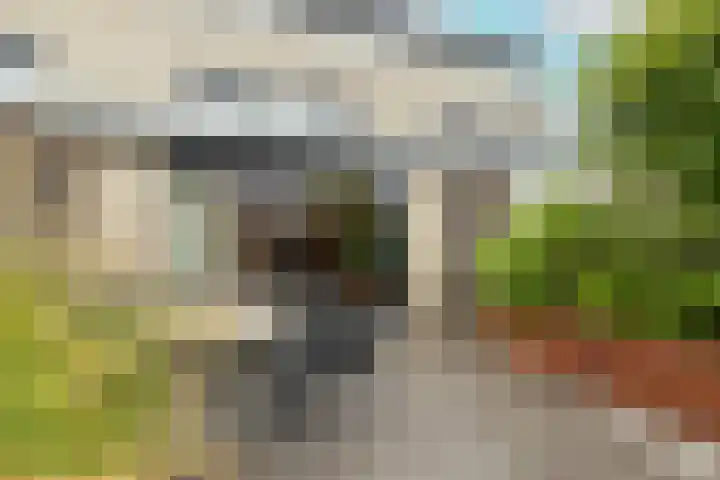 Dreeslaan 264 Naaldwijk thumbnail 36