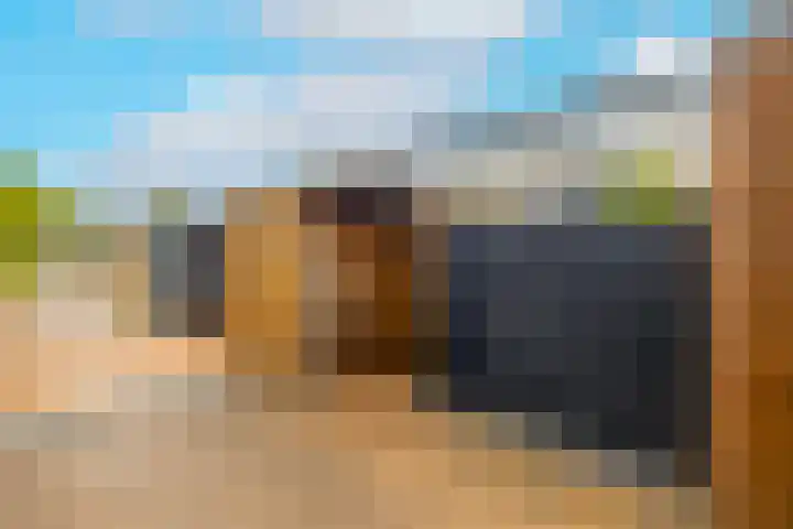 Dreeslaan 264 Naaldwijk thumbnail 37