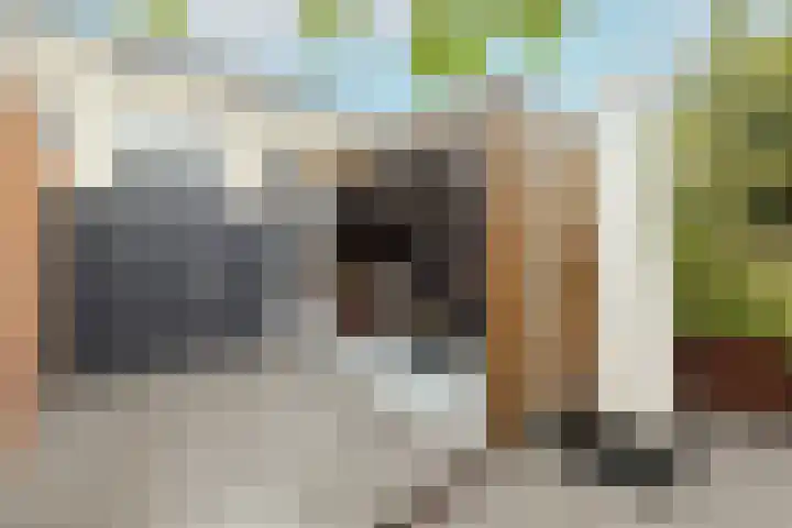 Dreeslaan 264 Naaldwijk thumbnail 38
