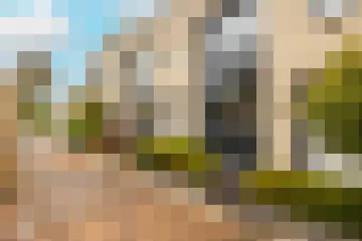 Dreeslaan 264 Naaldwijk thumbnail 39