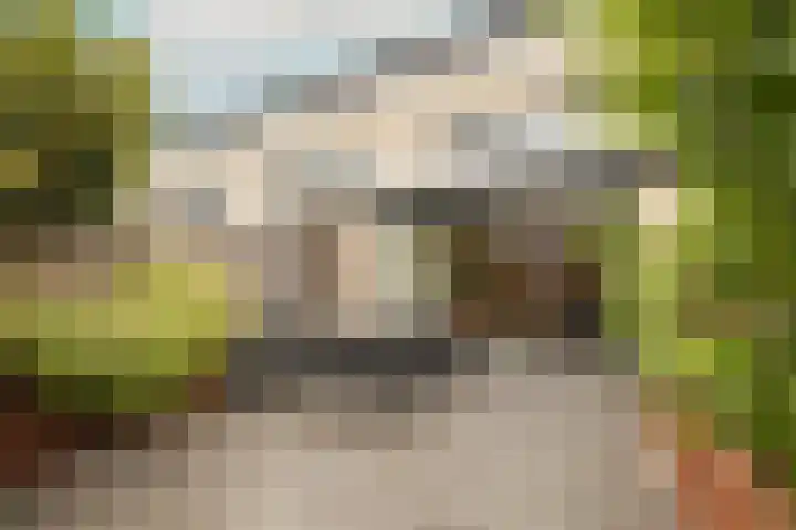 Dreeslaan 264 Naaldwijk thumbnail 4