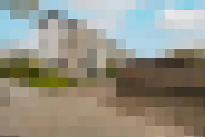 Dreeslaan 264 Naaldwijk thumbnail 41