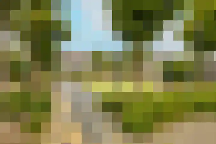 Dreeslaan 264 Naaldwijk thumbnail 42