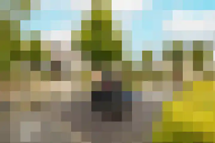 Dreeslaan 264 Naaldwijk thumbnail 43