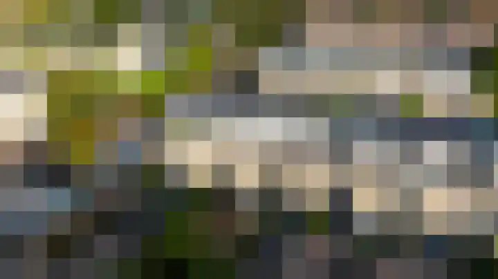Dreeslaan 264 Naaldwijk thumbnail 46