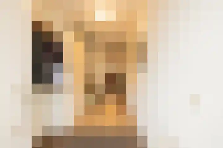 Dreeslaan 264 Naaldwijk thumbnail 6