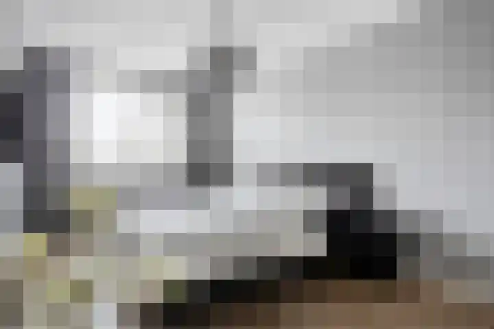 Dreeslaan 29 Naaldwijk thumbnail 13