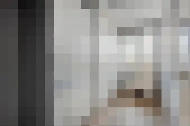 Dreeslaan 29 Naaldwijk thumbnail 17
