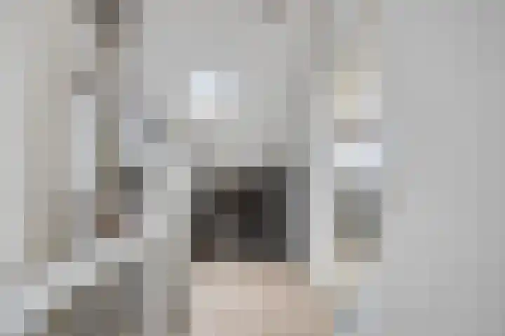 Dreeslaan 29 Naaldwijk thumbnail 19