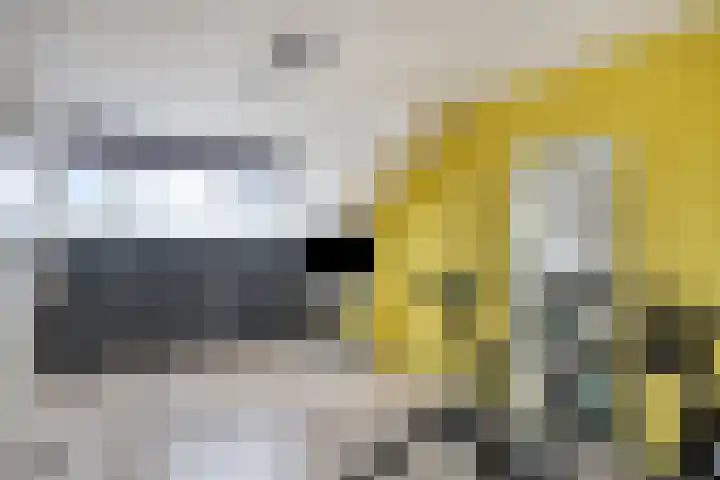 Dreeslaan 29 Naaldwijk thumbnail 20