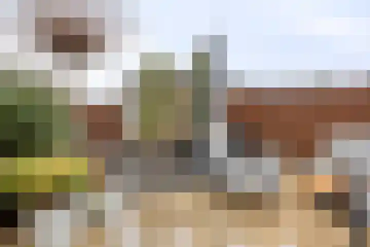 Dreeslaan 29 Naaldwijk thumbnail 22