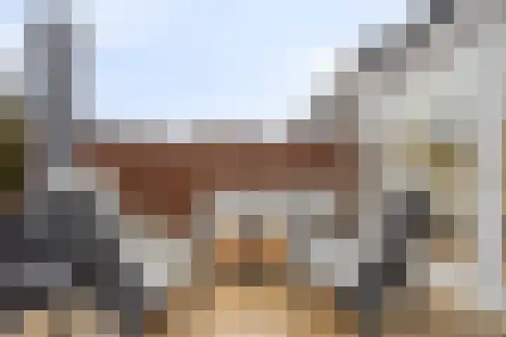 Dreeslaan 29 Naaldwijk thumbnail 23