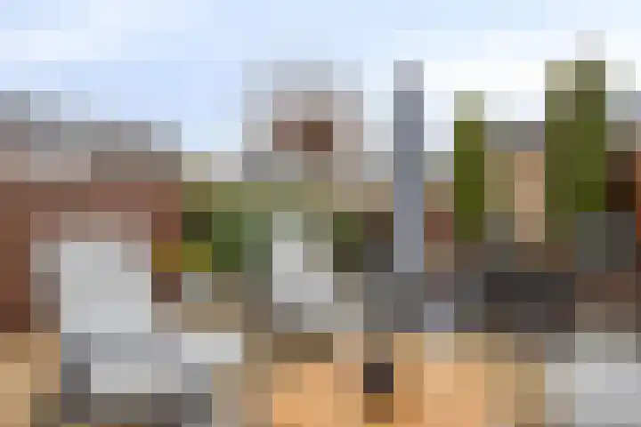 Dreeslaan 29 Naaldwijk thumbnail 24