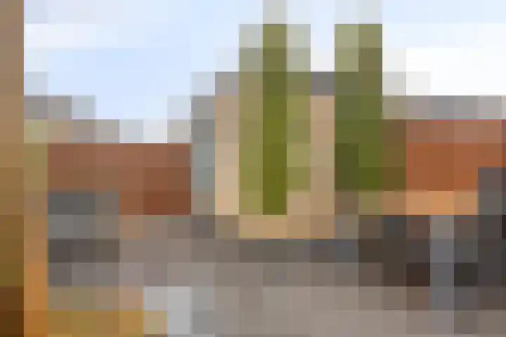 Dreeslaan 29 Naaldwijk thumbnail 25