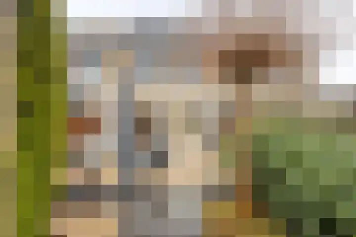 Dreeslaan 29 Naaldwijk thumbnail 26
