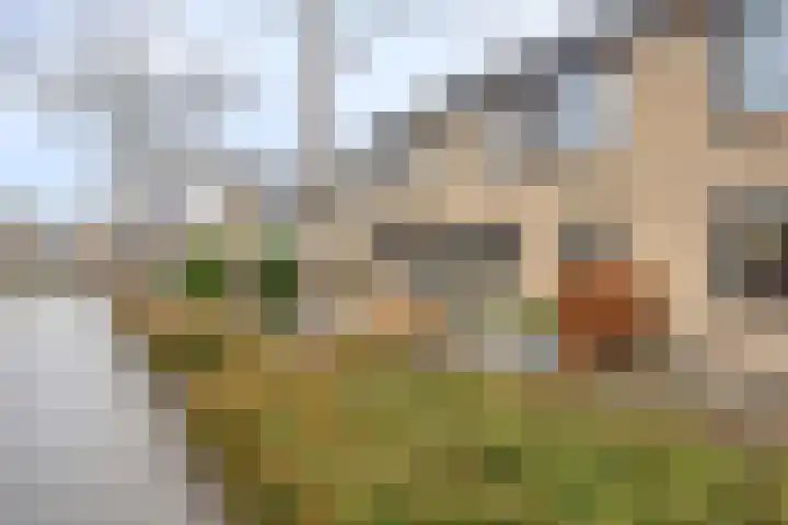 Dreeslaan 29 Naaldwijk thumbnail 27