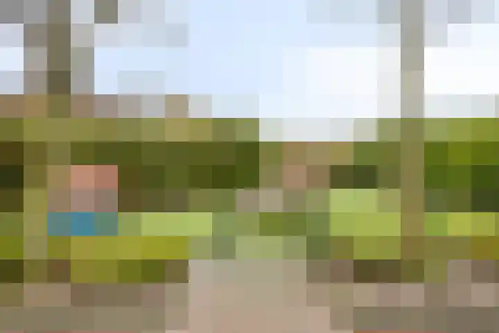 Dreeslaan 29 Naaldwijk thumbnail 28