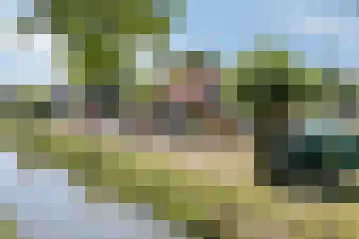 Dreeslaan 29 Naaldwijk thumbnail 29