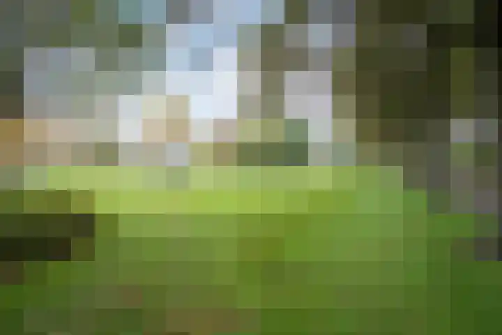 Dreeslaan 29 Naaldwijk thumbnail 30