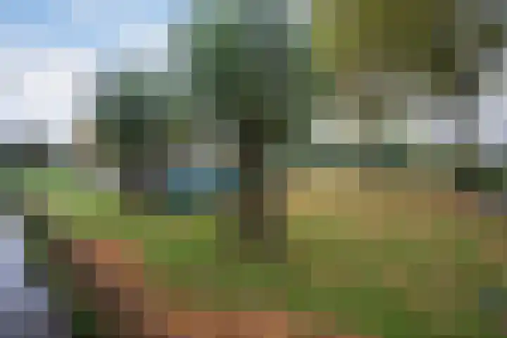 Dreeslaan 29 Naaldwijk thumbnail 31
