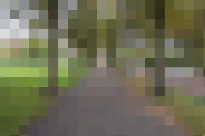Dreeslaan 29 Naaldwijk thumbnail 32