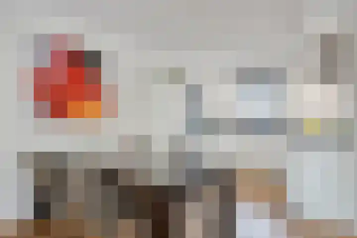 Dreeslaan 29 Naaldwijk thumbnail 6