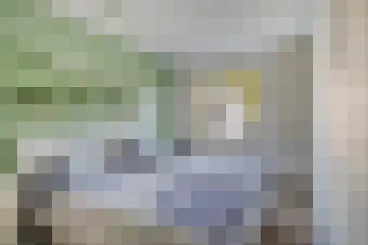 Dreeslaan 4 Vlijmen thumbnail 14