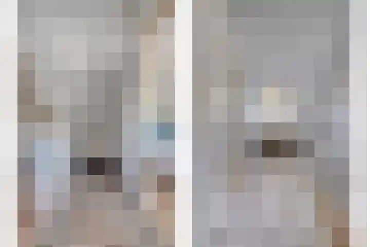 Dreeslaan 4 Vlijmen thumbnail 22