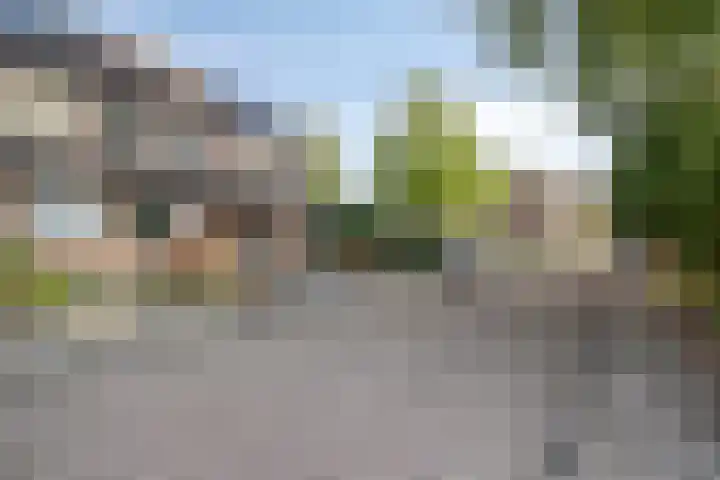 Dreeslaan 4 Vlijmen thumbnail 30