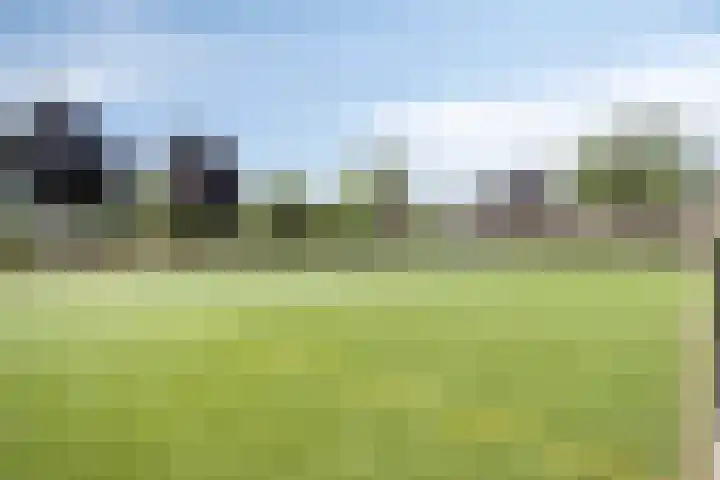 Dreeslaan 4 Vlijmen thumbnail 33