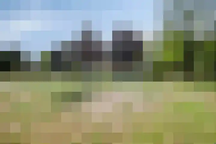 Dreeslaan 4 Vlijmen thumbnail 34