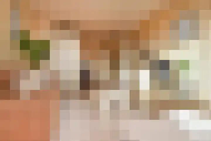 Dreeslaan 43 Naaldwijk thumbnail 13