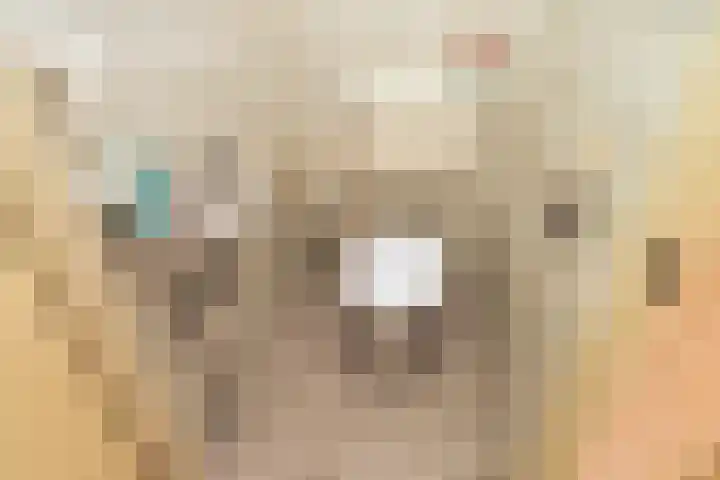 Dreeslaan 43 Naaldwijk thumbnail 19