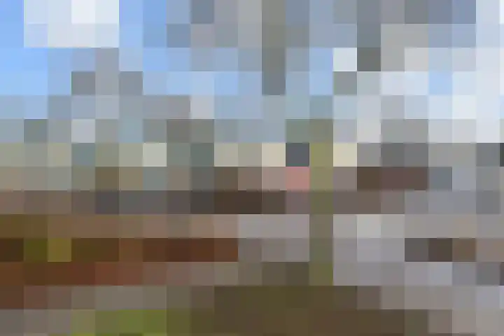 Dreeslaan 43 Naaldwijk thumbnail 33